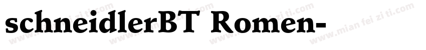 schneidlerBT Romen字体转换